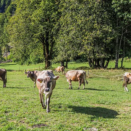 Luxuszelt Glamping Radovna Pr' Klemenak