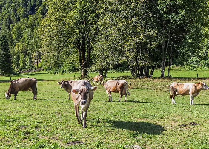 Lüks kamp alanı Glamping Radovna Pr' Klemenak